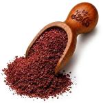 Ground Sumac by HajMady