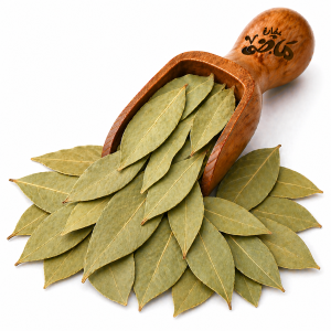 Bay Leaves by Haj Mady