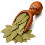 Bay Leaves by Haj Mady