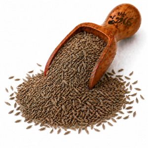 Whole Caraway by Haj Mady