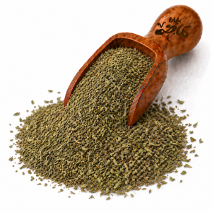 Ground Thyme by Haj Mady