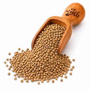 Local Coriander Seeds by Haj Mady