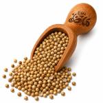 Local Coriander Seeds | Premium Egyptian Coriander by Haj Mady