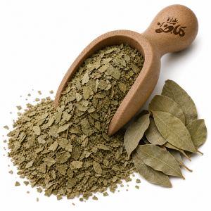 Natural Camphor Leaves by Haj Mady