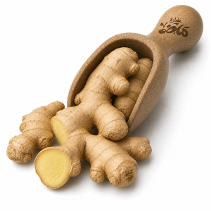 Fresh Ginger by Haj Mady