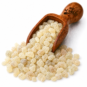 Natural Mastic (Whole) by Haj Mady