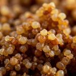 Mastic Gum Packet 2gm by HajMadi