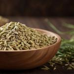 Ground Fennel by HajMadi