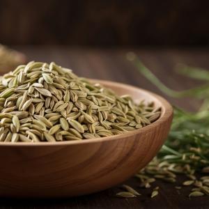 Ground Fennel by HajMadi