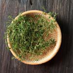 Green Thyme Mix by HajMadi