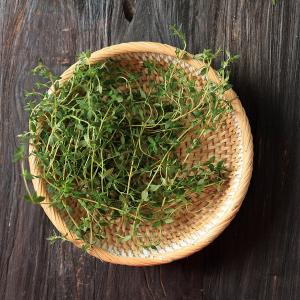 Green Thyme Mix by HajMadi