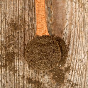 Ground Thyme by HajMadi