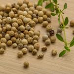 Whole white Pepper by HajMadi
