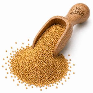 Yellow Mustard Seeds by Haj Mady